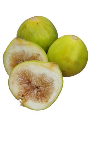 Fikon Färska Gula