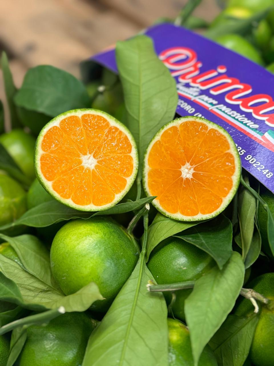 Clementin Miyagawa