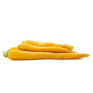 Gul Morot