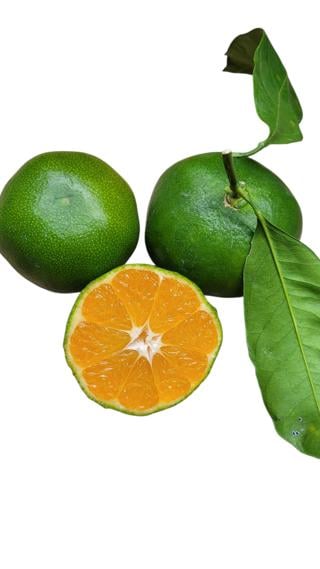 Clementin Miyagawa