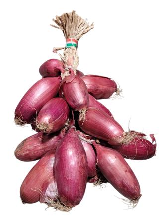 Rödlök Tropea Klass 1 Italien