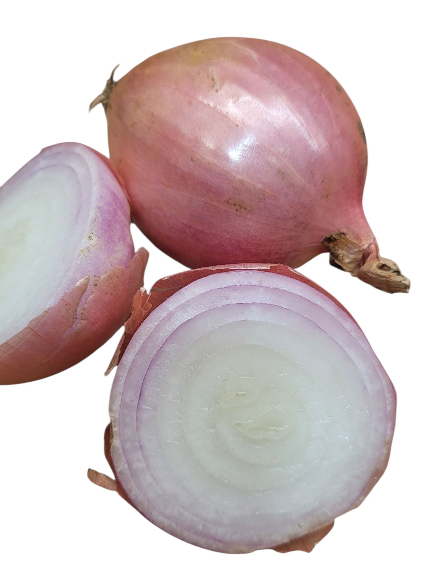 Lök Rosalie Sverige