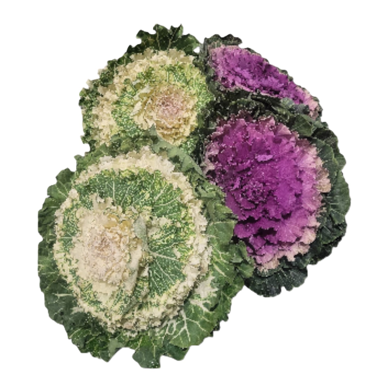 Blomma Garneringskål