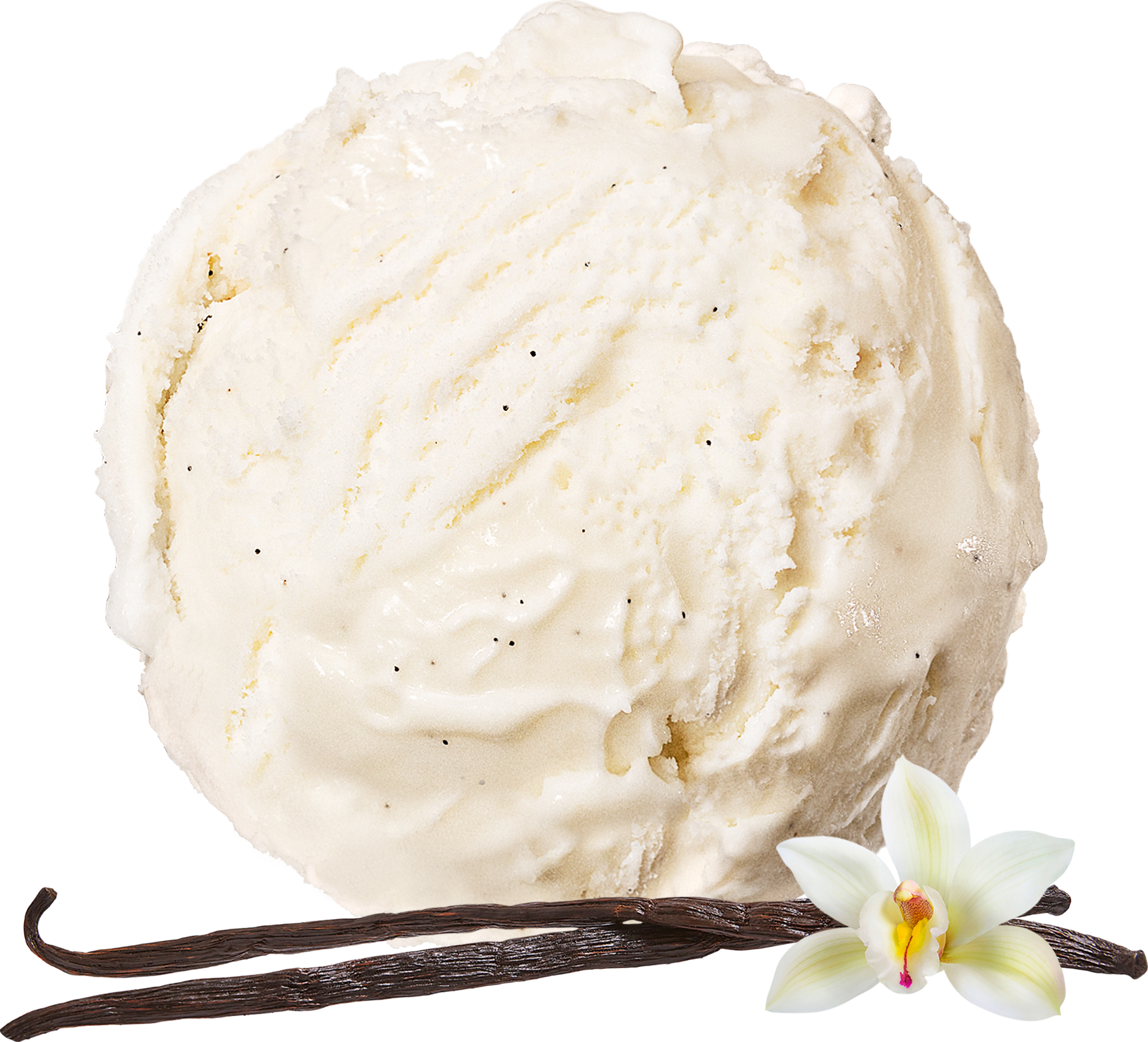 Gräddglass Vanilj Laktosfri