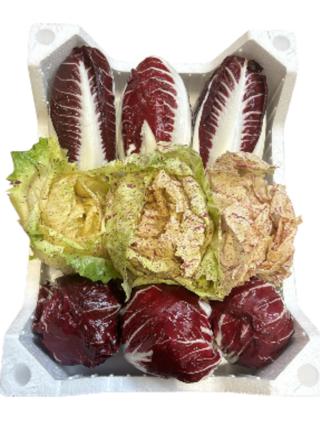 Sallat Chicory mix IT