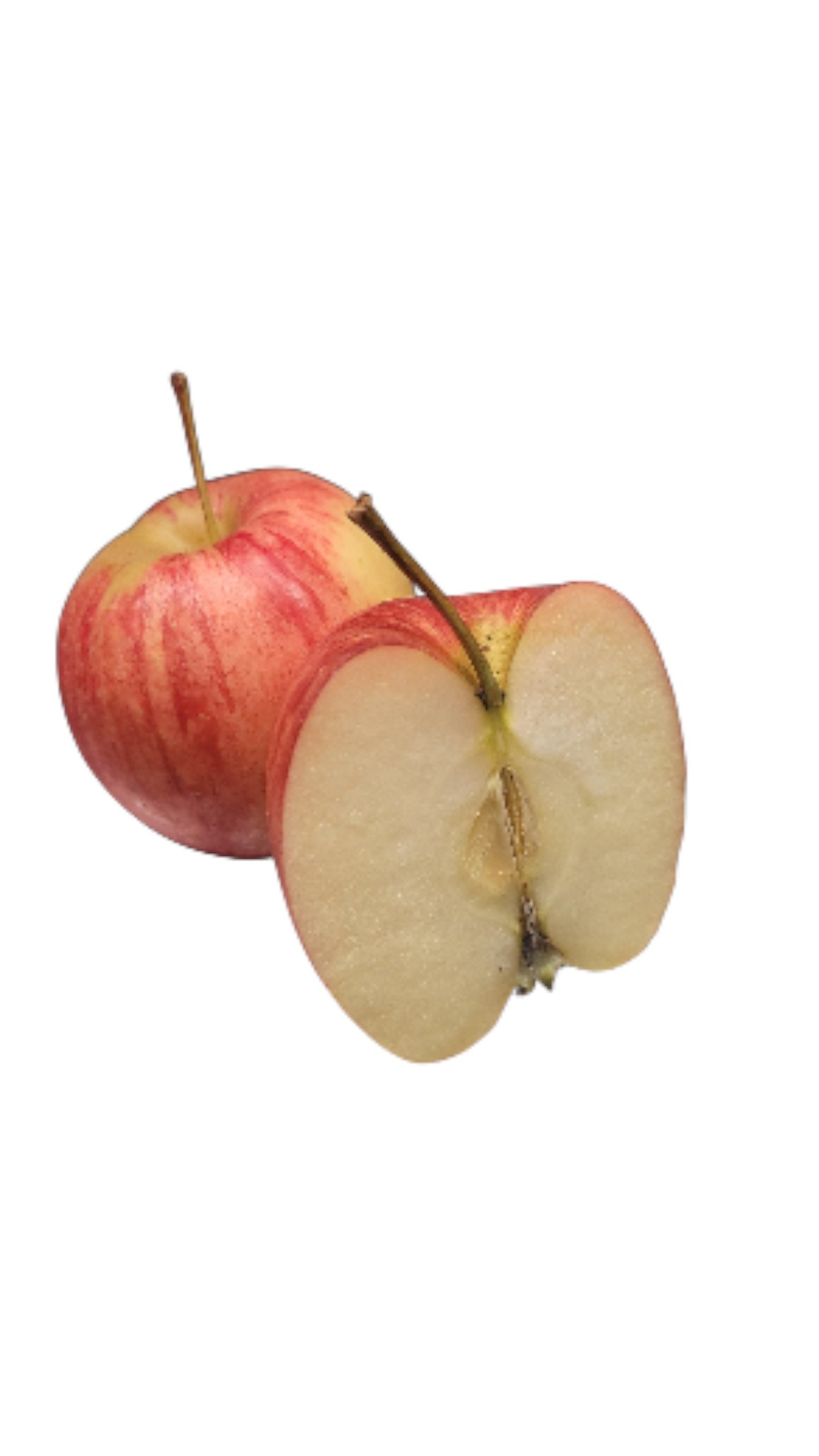 Äpple Sara 2-lavs Sverige