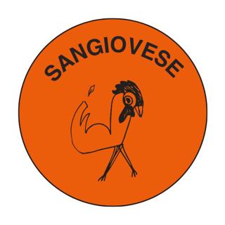 Rubicone Sangiovese Campo di Mezzo KEYKEG EKO