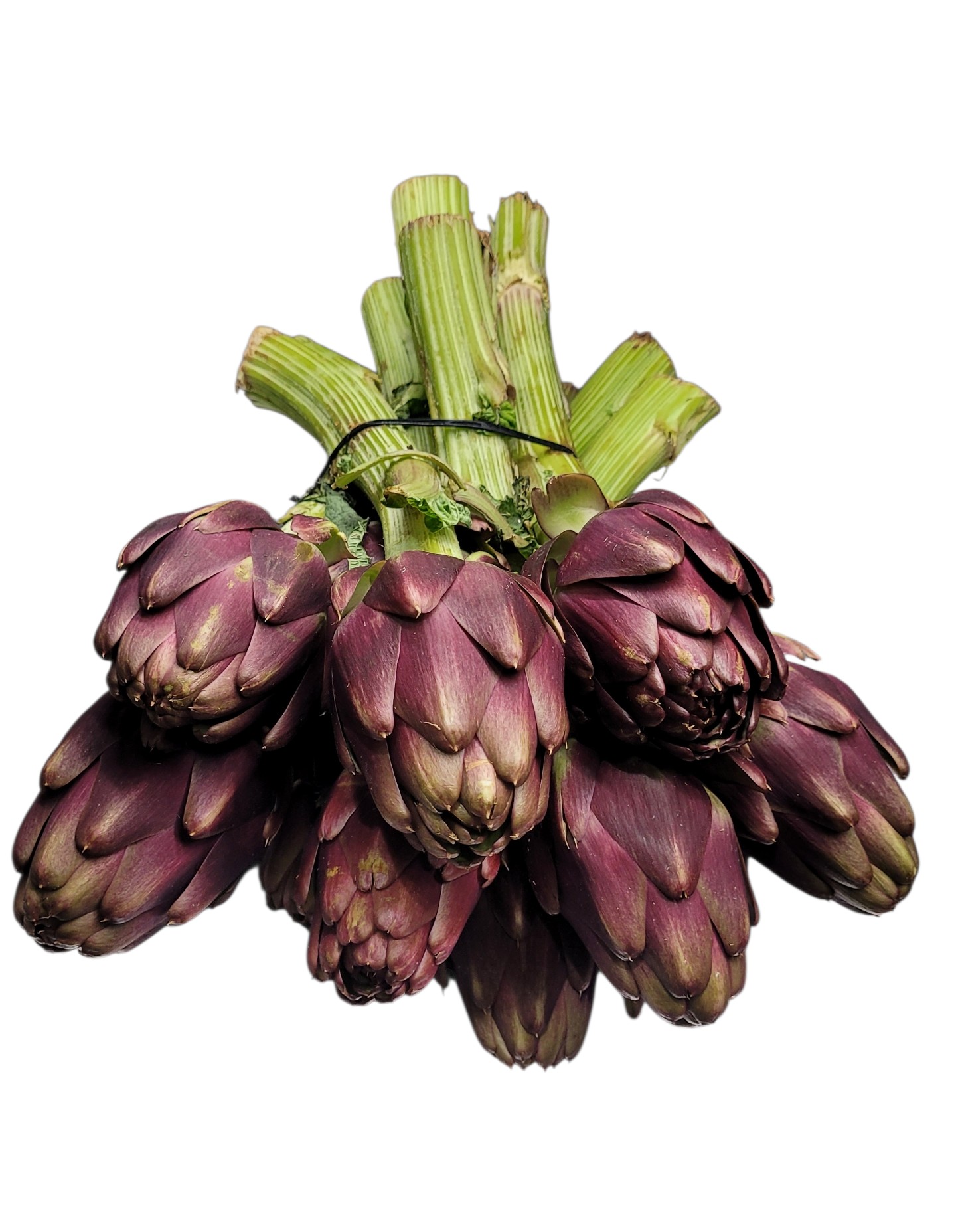 Kronärtskocka i Bunt