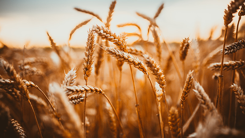 Miljö- och kvalitetscertifieringar