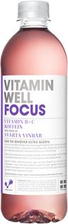 Vitamin Well Focus Svartavinbär PET