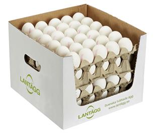 Ägg lösvikt L frigående smartbox