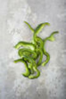 Paprika grön halv ring