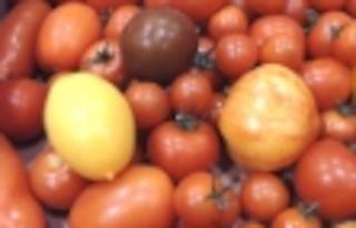 Tomat mix vild  Klass 1