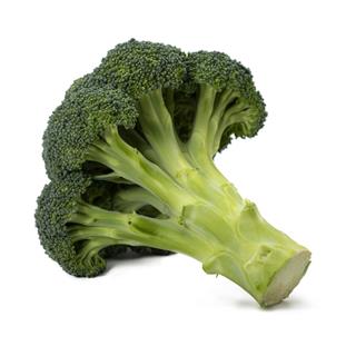 Broccoli SE