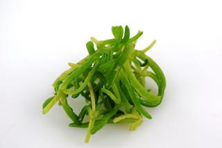 Krasse sea fennel