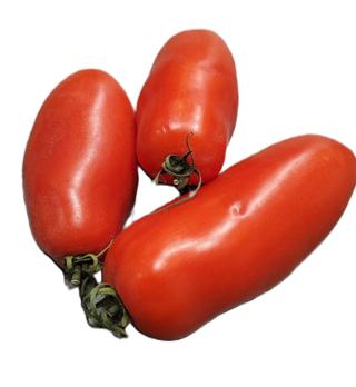 Tomat San Marzano Klass 1 Italien