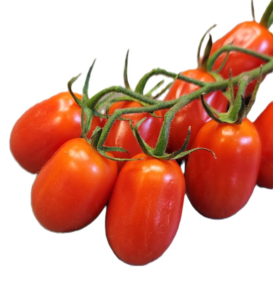Tomat Datterini Klass 1 Italien
