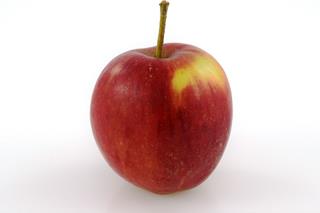Äpple Elise SE    Klass 1