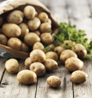 Potatis Medel Tvättad 40-55 mm EKO KRAV Sverige