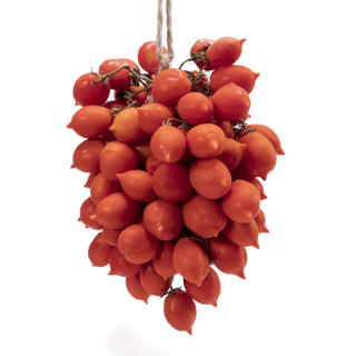 Tomat Piennolo Klass 1