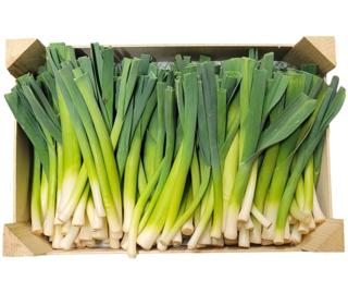 Purjolök Mini i Låda