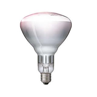 Glödlampa IR vit härd stänksäkert hårdglas 250W