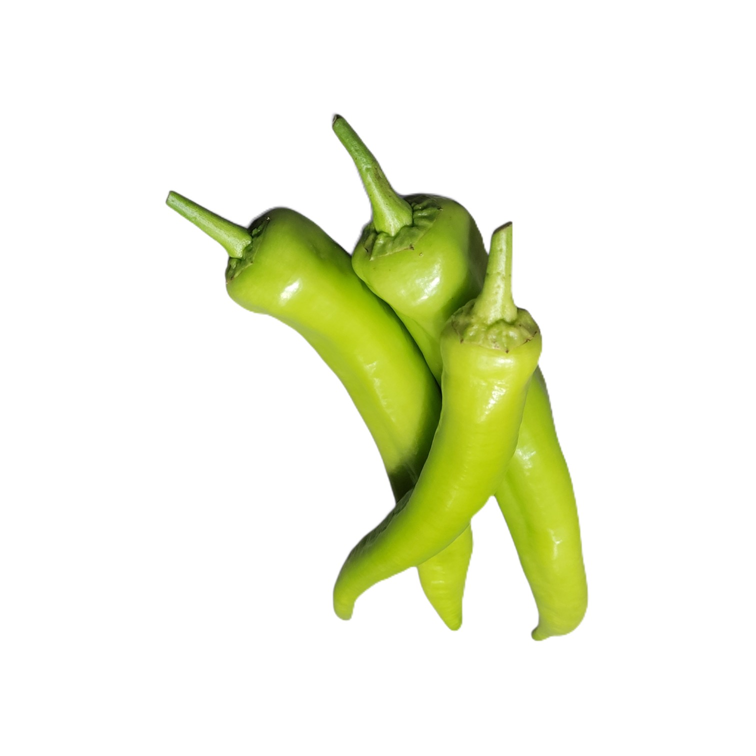 Paprika Grön Carli Klass 1