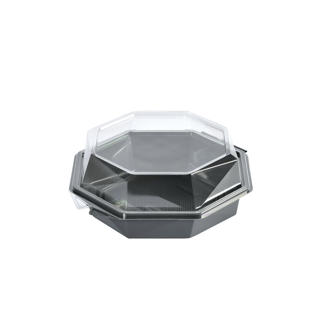 Box Octaview Apet 823ml Grå