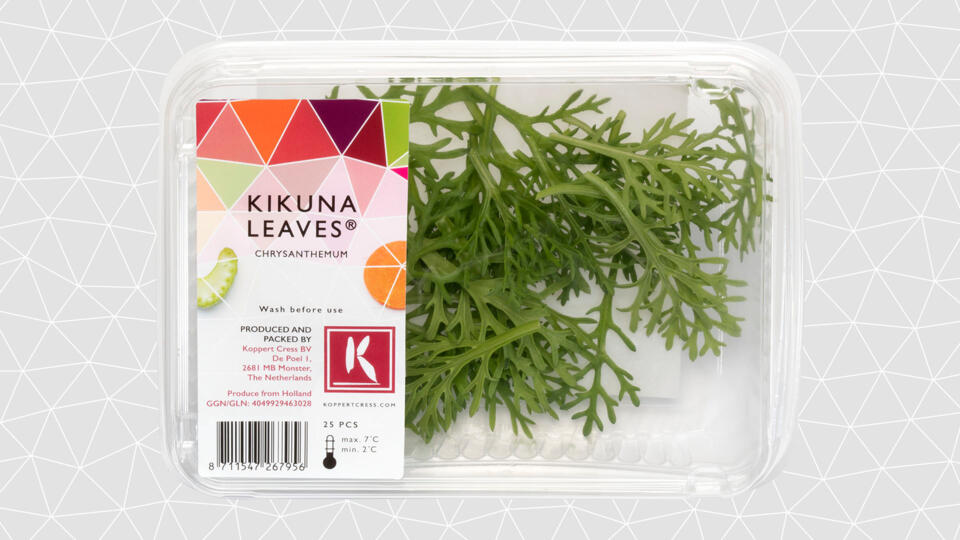 Kikuna blad 25st