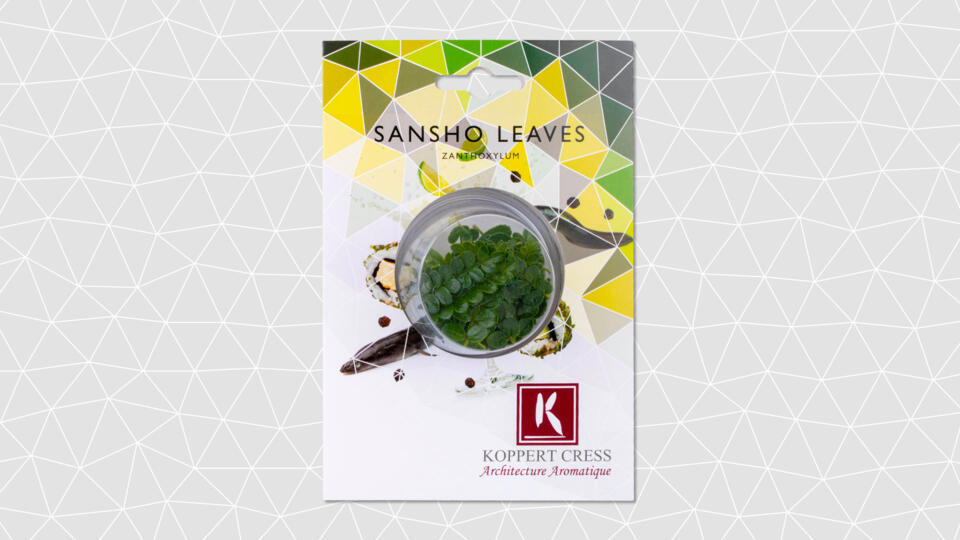 Sancho blad 25st