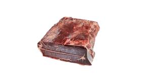 Cecina 12 Månader
