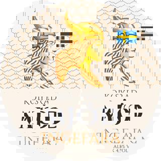 Kolsyrad Mjöd Ingefära KEYKEG