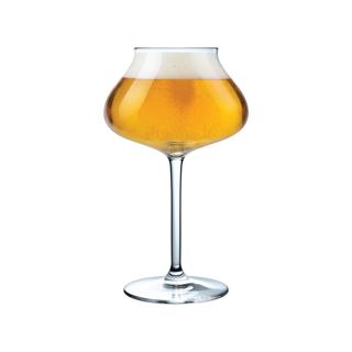 Beer Expert Ölglas 33cl