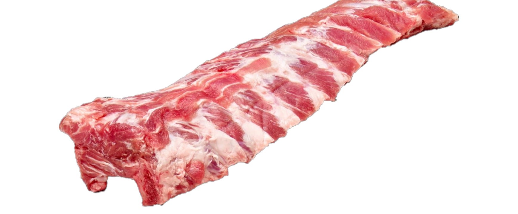 Kamben Sverige