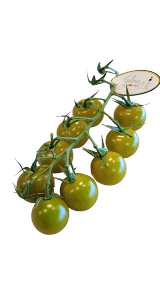 Körsbärstomat Oliv Gällenäs