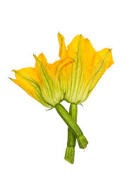 Blomma Zucchini