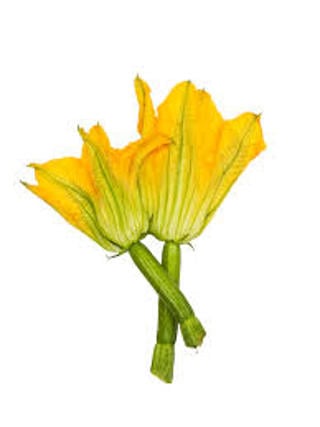 Blomma Zucchini