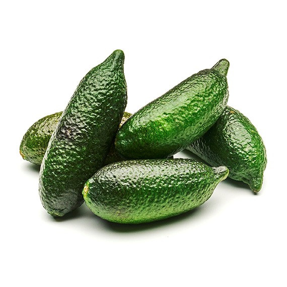 302517