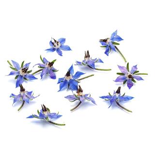 Blomma Gurkört