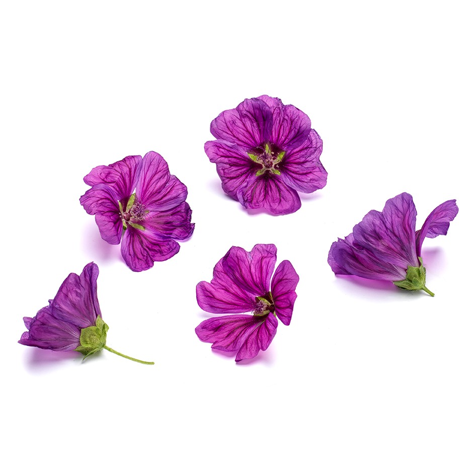 Blomma Malva 10st Mimis