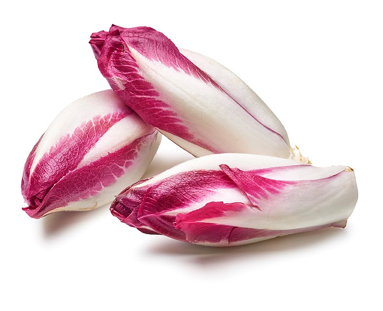 Sallat Endive Röd Klass 1