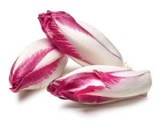 Sallat Endive Röd Klass 1