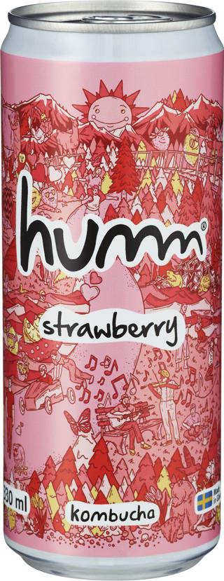 Kombucha Jordgubb BRK EKO