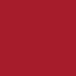 Servett Dunilin 1/4-vikt 48x48cm röd