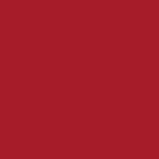 Servett 1/4-vikt 3-lag 33x33cm röd