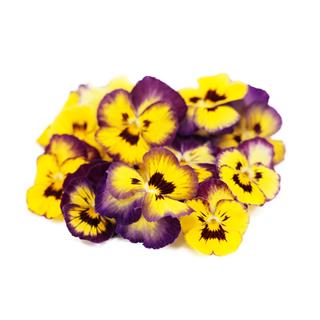 Blomma viol ätlig