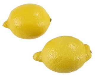 Citron Primofiori/vernas Klass 1