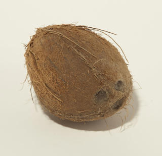 Kokosnöt