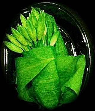 Blomma Ramslöksknopp