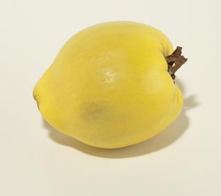 Kvittenfrukt